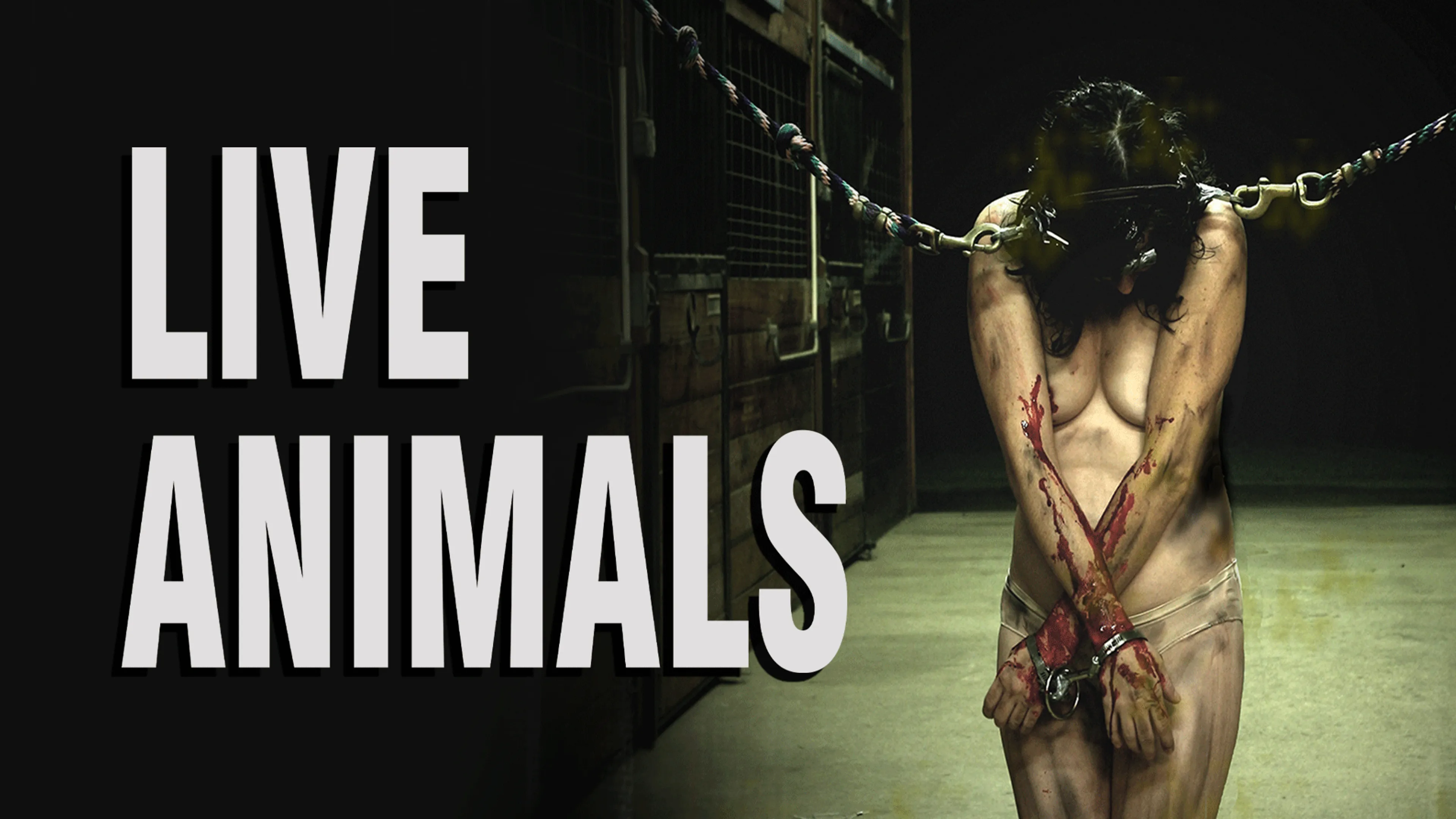 Live Animals poster